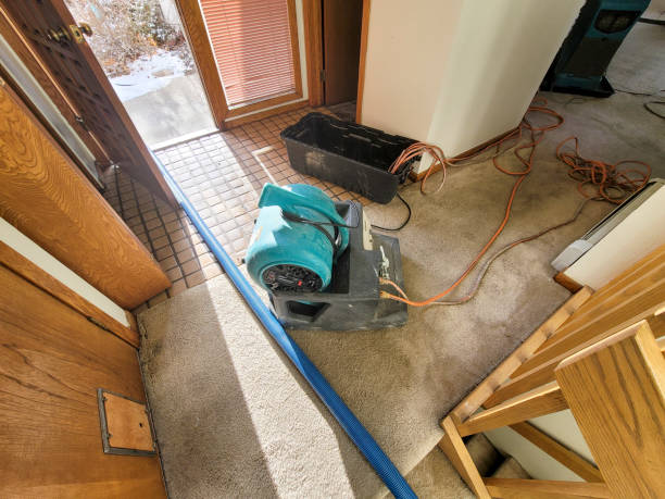 Best Water damage restoration company  in Sebring, FL
