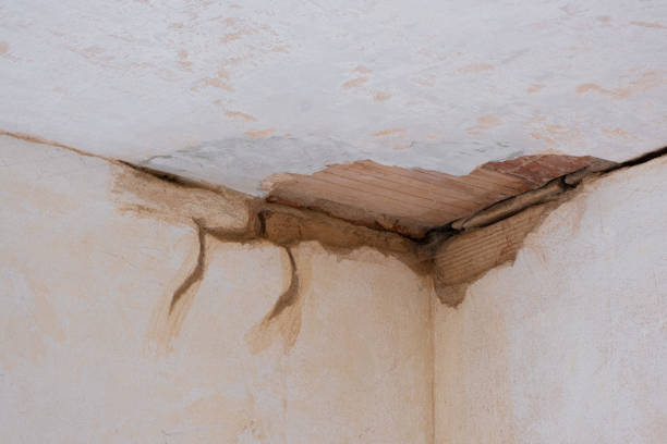 Local water damage restoration in Sebring, FL