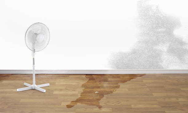 Carpet water damage restoration in Sebring, FL