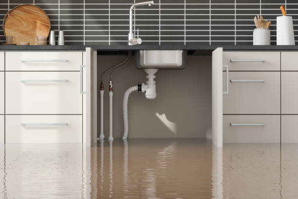 Best Sewage cleanup and water damage restoration  in Sebring, FL