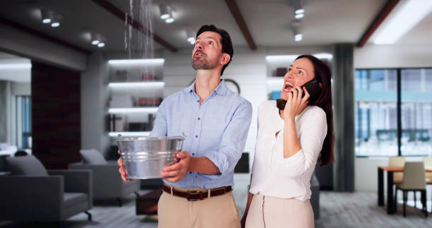 Best 24-hour water damage restoration  in Sebring, FL